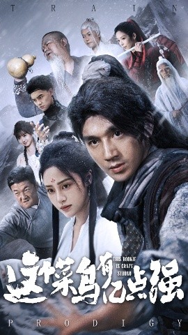 这个菜鸟有亿点强